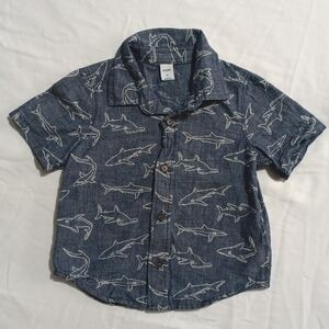 Shark Button Down 2T